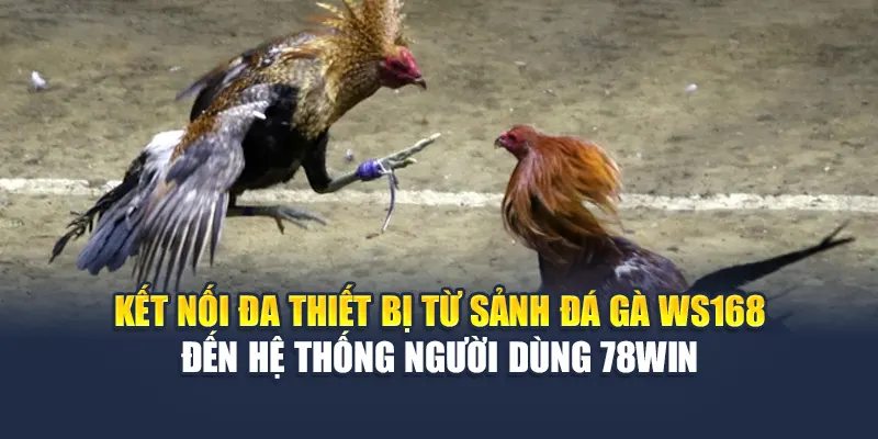 Sảnh Đá Gà WS168 Tại 78WIN – Cuộc Đấu Đỉnh Cao Mở Màn 5 Kết nối đa thiết bị từ sảnh đá gà WS168 đến hệ thống người dùng 78WIN